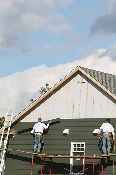 Best Custom Trim and Detailing for Siding  in Minneapolis, MN